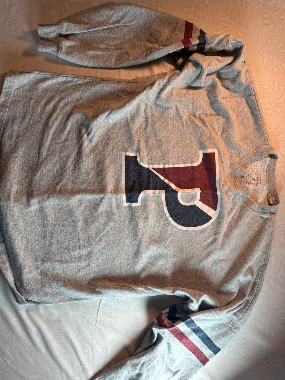 Gray Long-Sleeve Graphic Sweatshirt with Red & Navy Accent